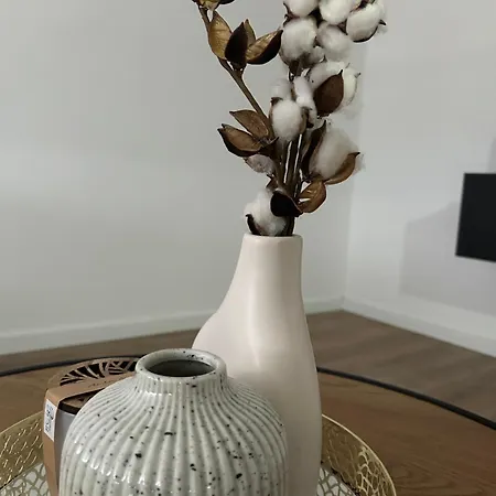 Anaa Apartment